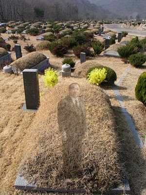 Ahnsahnghong's Grave